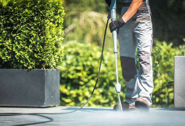 Best Restaurant Pressure Washing  in Rio Grande City, TX