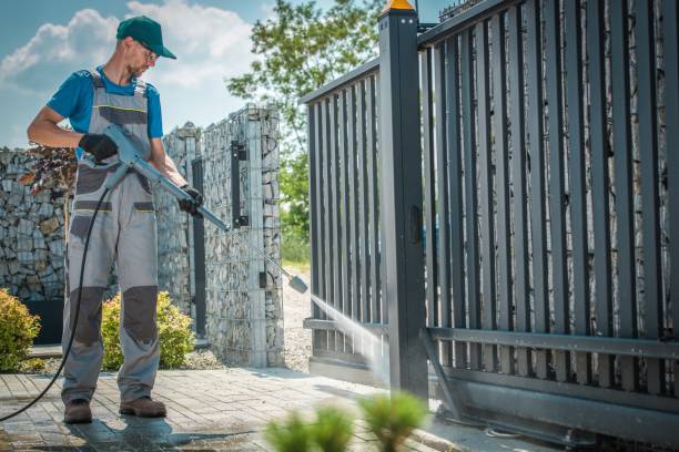 Best Dumpster Area Cleaning  in Rio Grande City, TX
