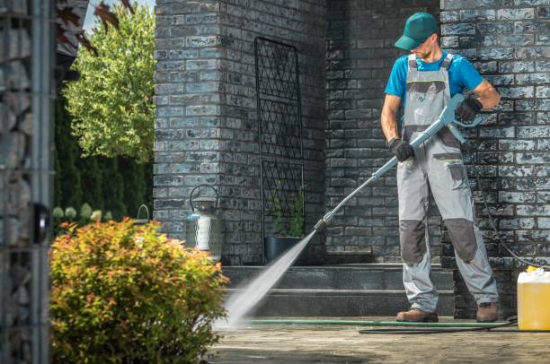 Solar Panel Cleaning in Rio Grande City, TX