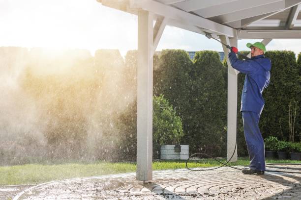 Best Parking Lot and Garage Cleaning  in Rio Grande City, TX