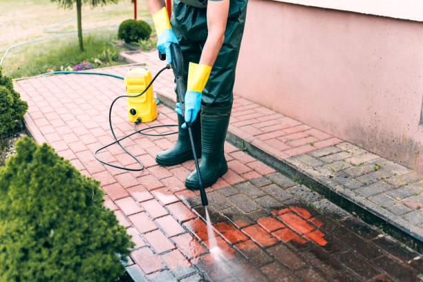 Best Gutter Cleaning  in Rio Grande City, TX