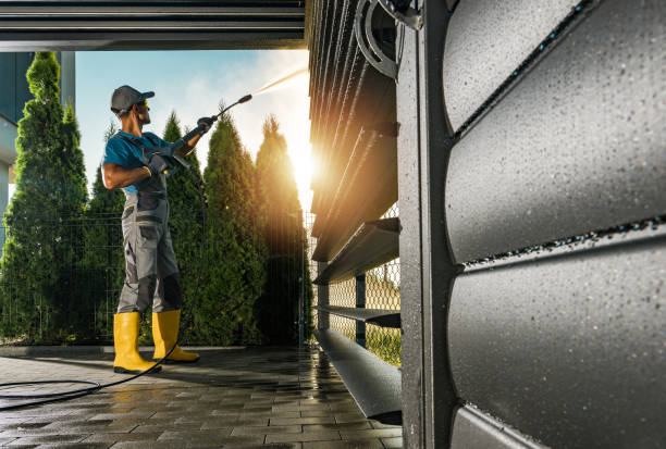 Best Animal Enclosure Cleaning  in Rio Grande City, TX